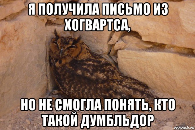 я получила письмо из хогвартса, но не смогла понять, кто такой думбльдор