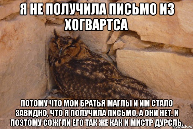 я не получила письмо из хогвартса потому что мои братья маглы и им стало завидно, что я получила письмо, а они нет. и поэтому сожгли его так же как и мистр дурсль.