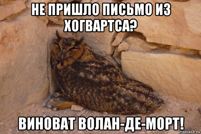 не пришло письмо из хогвартса? виноват волан-де-морт!