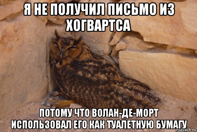 я не получил письмо из хогвартса потому что волан-де-морт использовал его как туалетную бумагу