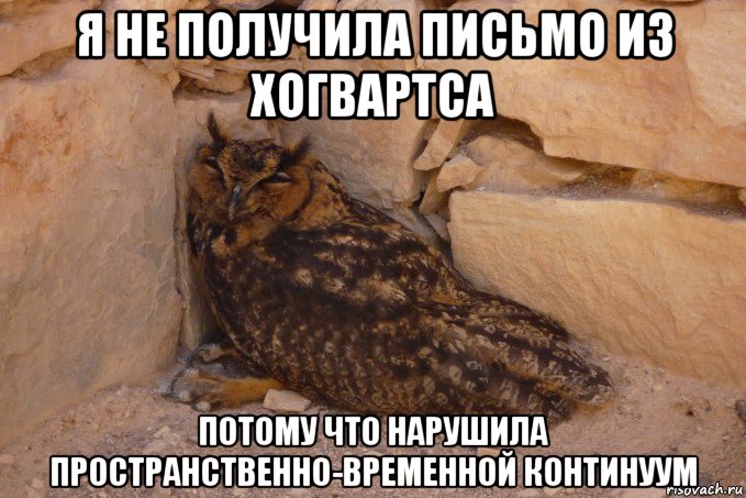 я не получила письмо из хогвартса потому что нарушила пространственно-временной континуум