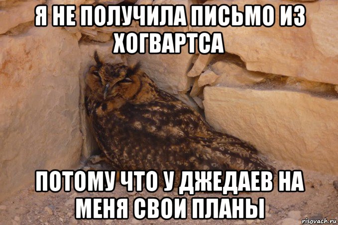 я не получила письмо из хогвартса потому что у джедаев на меня свои планы