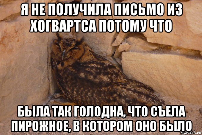 я не получила письмо из хогвартса потому что была так голодна, что съела пирожное, в котором оно было