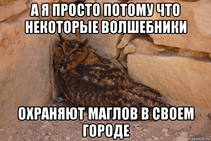 а я просто потому что некоторые волшебники охраняют маглов в своем городе