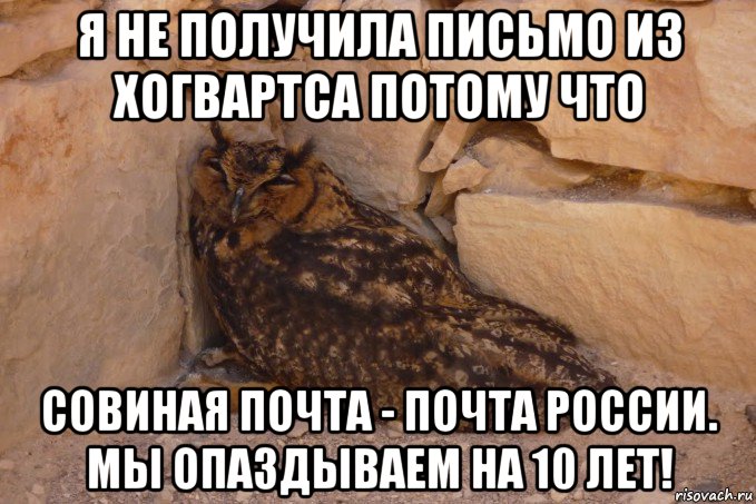 я не получила письмо из хогвартса потому что совиная почта - почта россии. мы опаздываем на 10 лет!