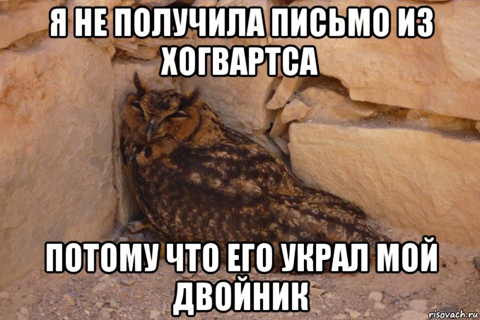 я не получила письмо из хогвартса потому что его украл мой двойник