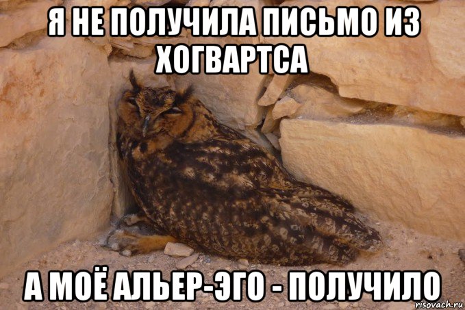 я не получила письмо из хогвартса а моё альер-эго - получило