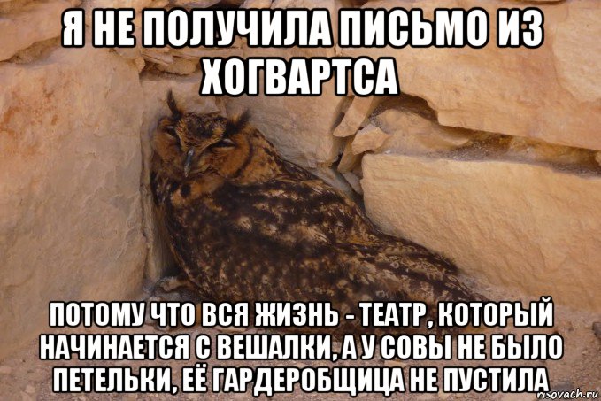 я не получила письмо из хогвартса потому что вся жизнь - театр, который начинается с вешалки, а у совы не было петельки, её гардеробщица не пустила