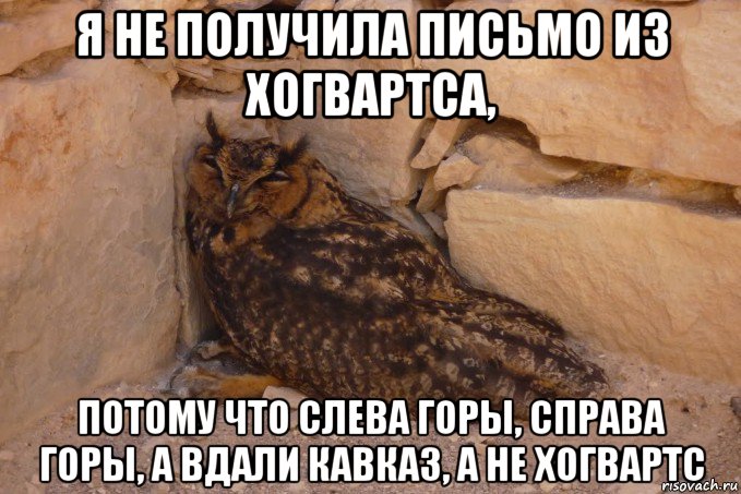 я не получила письмо из хогвартса, потому что слева горы, справа горы, а вдали кавказ, а не хогвартс