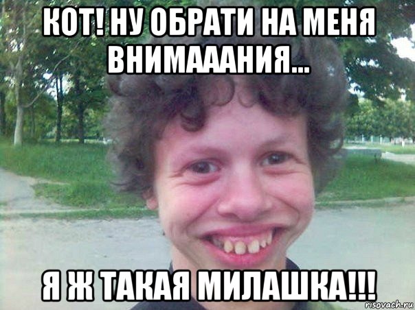 кот! ну обрати на меня внимааания... я ж такая милашка!!!