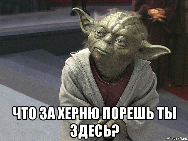  что за херню порешь ты здесь?