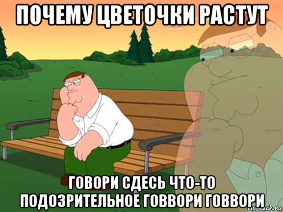 почему цветочки растут говори сдесь что-то подозрительное говвори говвори, Мем Задумчивый Гриффин