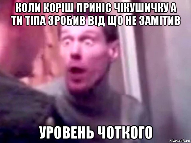 коли коріш приніс чікушичку а ти тіпа зробив від що не замітив уровень чоткого, Мем Запили