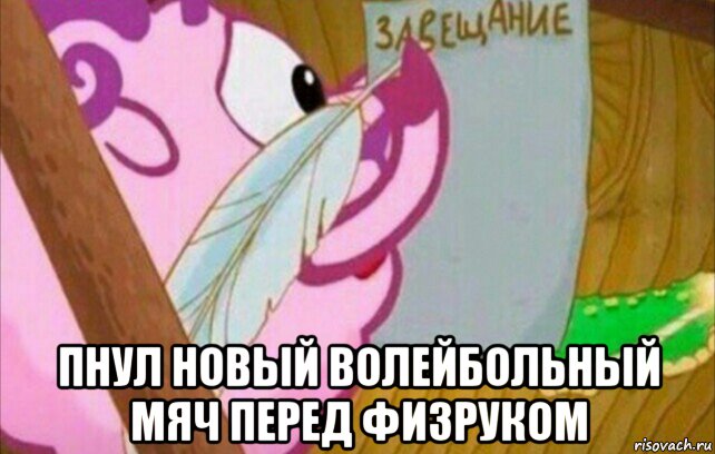  пнул новый волейбольный мяч перед физруком