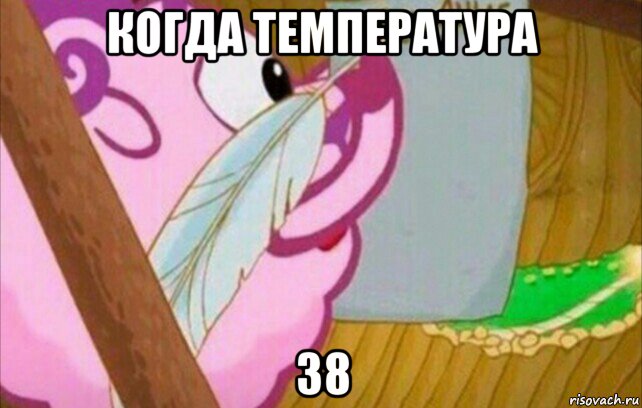 когда температура 38