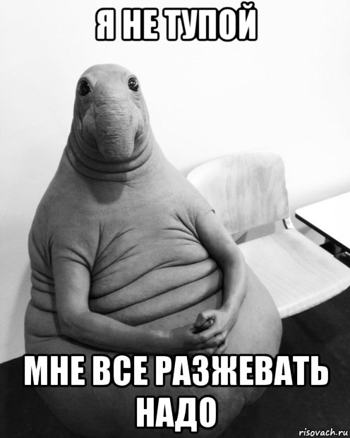 я не тупой мне все разжевать надо