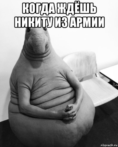 когда ждёшь никиту из армии 