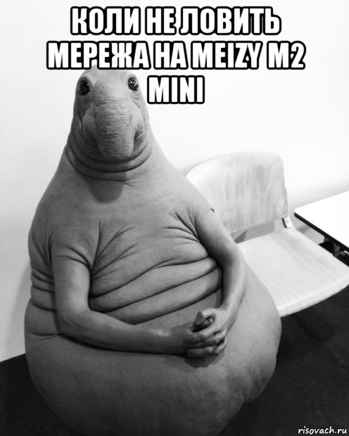 коли не ловить мережа на meizy m2 mini , Мем  Ждун