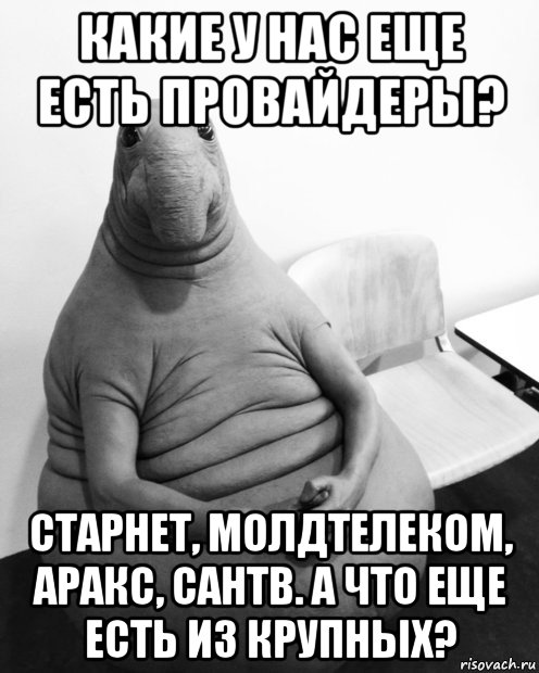 какие у нас еще есть провайдеры? старнет, молдтелеком, аракс, сантв. а что еще есть из крупных?, Мем  Ждун