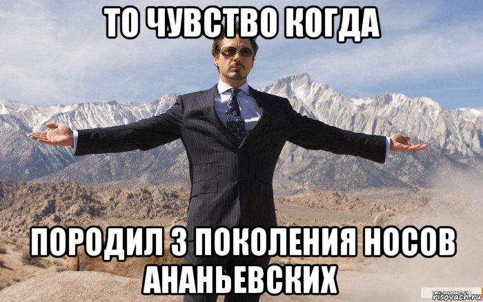 то чувство когда породил 3 поколения носов ананьевских, Мем железный человек