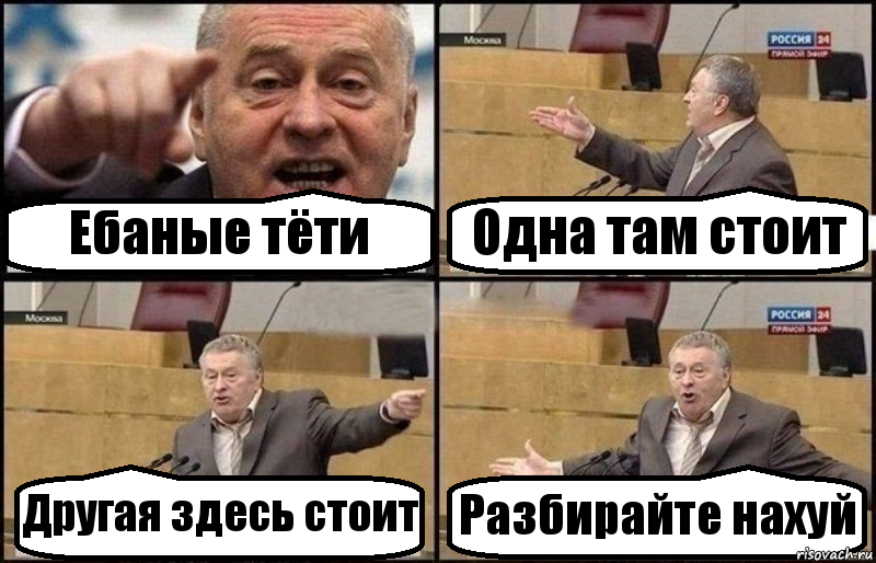 Ебаные тёти Одна там стоит Другая здесь стоит Разбирайте нахуй, Комикс Жириновский