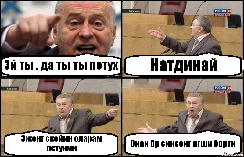 Эй ты . да ты ты петух Натдинай Эженг скейин оларам петухми Онан бр сиксенг ягши борти, Комикс Жириновский