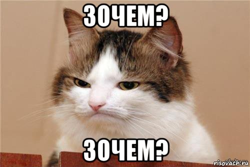 зочем? зочем?, Мем 15