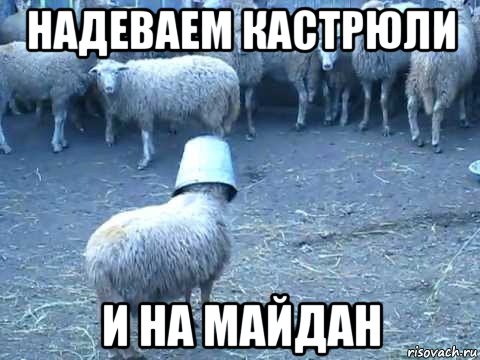 надеваем кастрюли и на майдан