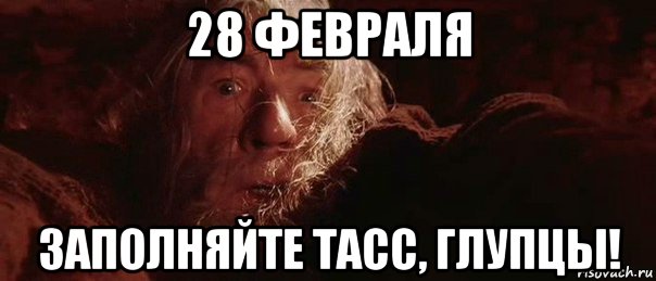 28 февраля заполняйте tacc, глупцы!, Мем бегите глупцы