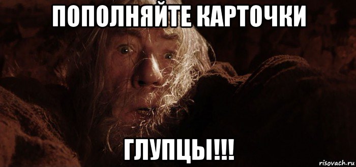 пополняйте карточки глупцы!!!, Мем Бегите глупцы