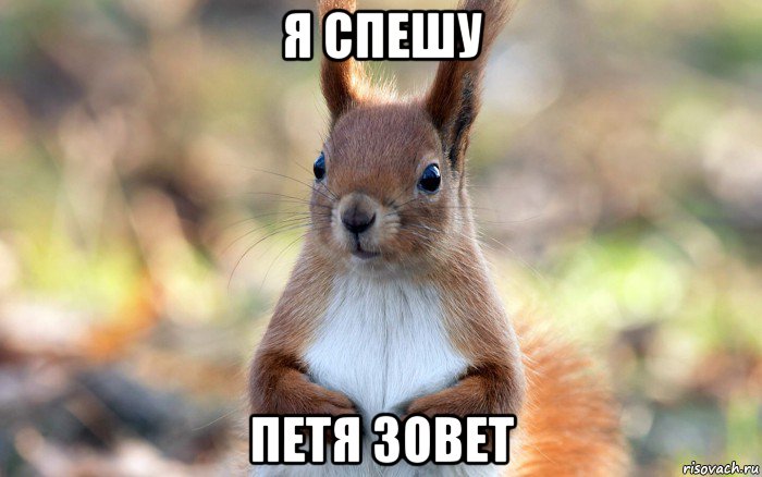 я спешу петя зовет