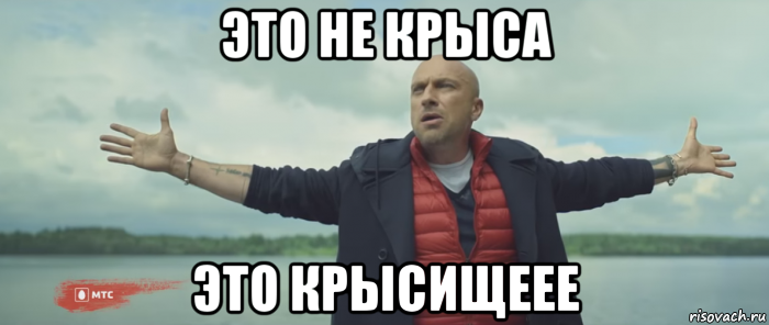 это не крыса это крысищеее