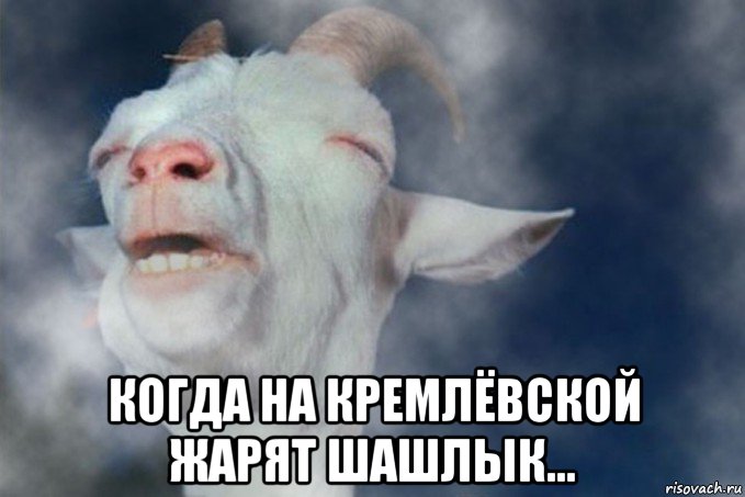  когда на кремлёвской жарят шашлык...