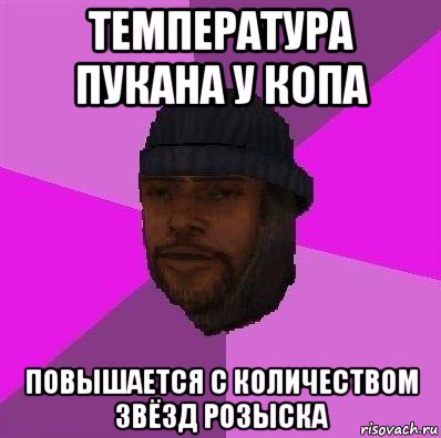 температура пукана у копа повышается с количеством звёзд розыска, Мем Бомж самп рп