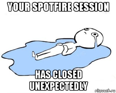 your spotfire session has closed unexpectedly, Мем   человек в луже плачет