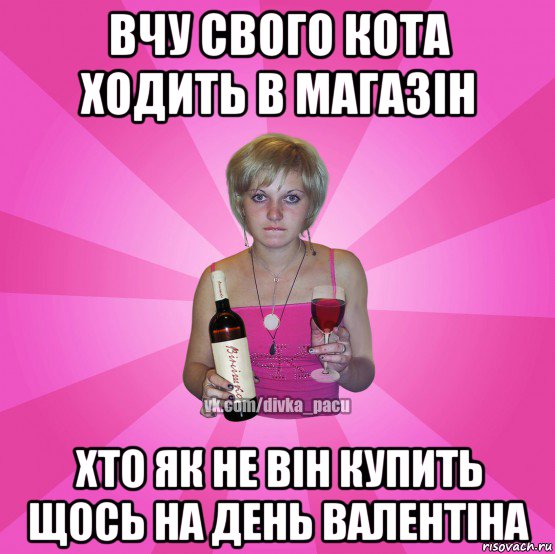 вчу свого кота ходить в магазін хто як не він купить щось на день валентіна