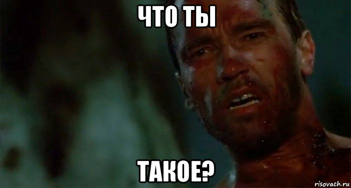 что ты такое?