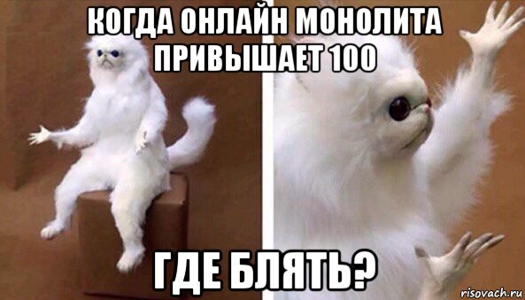 когда онлайн монолита привышает 100 где блять?, Мем Чучело кота