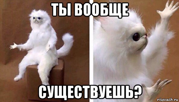 ты вообще существуешь?, Мем Чучело кота