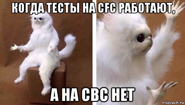 когда тесты на cfc работают, а на cbc нет, Мем Чучело кота