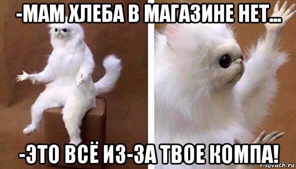 -мам хлеба в магазине нет... -это всё из-за твое компа!, Мем Чучело кота