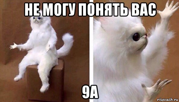 не могу понять вас 9а, Мем Чучело кота