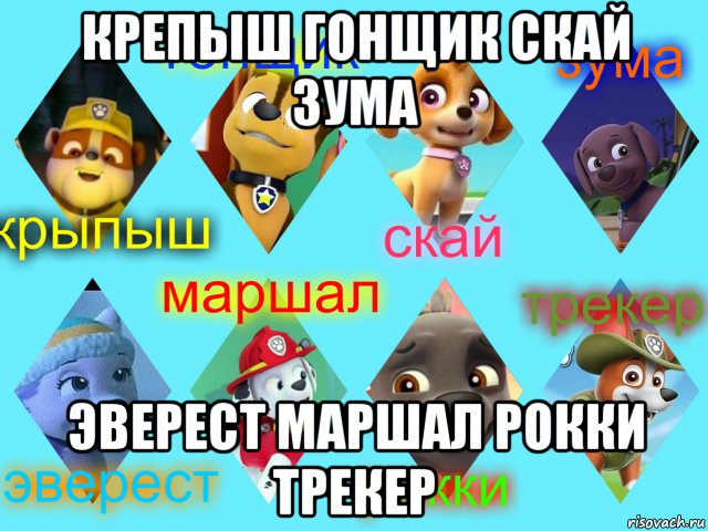 крепыш гонщик скай зума эверест маршал рокки трекер, Мем Щенячий патруль