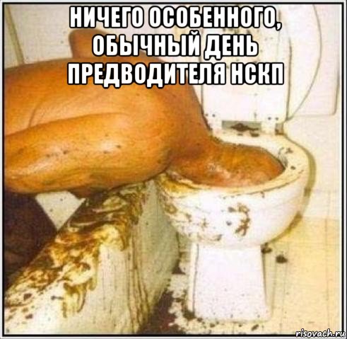 ничего особенного, обычный день предводителя нскп , Мем Дайвер