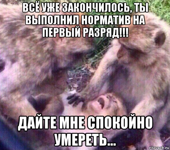 всё уже закончилось, ты выполнил норматив на первый разряд!!! дайте мне спокойно умереть...