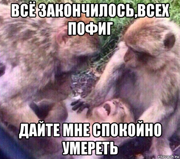 всё закончилось,всех пофиг дайте мне спокойно умереть, Мем Дайте мне спокойно умереть
