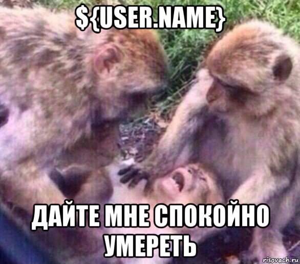 ${user.name} дайте мне спокойно умереть, Мем Дайте мне спокойно умереть