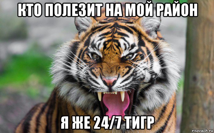 кто полезит на мой район я же 24/7 тигр