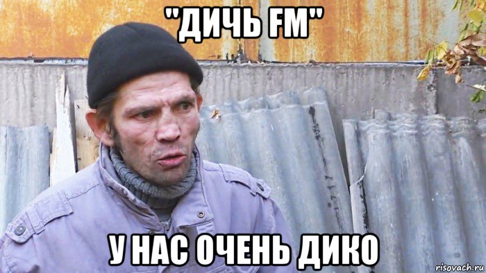 "дичь fm" у нас очень дико, Мем  Дичь