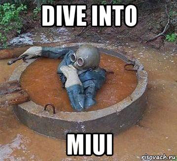 dive into miui